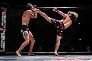 Adult Mixed Martial Arts